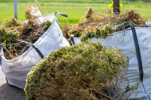 Best Residential Junk Removal  in De Pue, IL