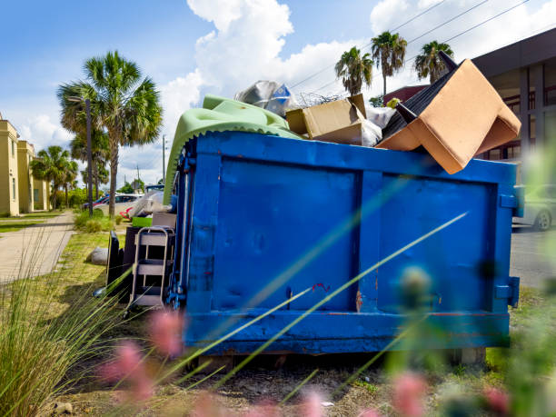 Best Dumpster Rental Services  in De Pue, IL